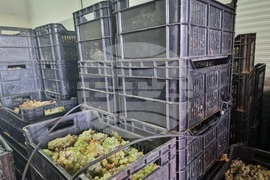 Село Орешак - винарска изба "Ноя"