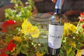 Село Орешак - винарска изба "Ноя"