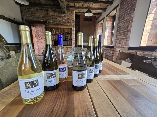 Lilyache Winery: Two Winemaking Friends Cultivate Rare Grape Varieties in Vratsa Region