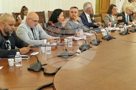 Парламент - Временна комисия за установяване на съществуващите проблеми с разпространението на диазотен оксид (райски газ)