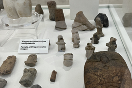 Регионален исторически музей - София - изложба „Преди 8000 години: Слатина - София“