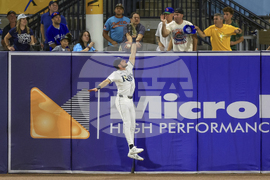 APTOPIX Blue Jays Rays Baseball