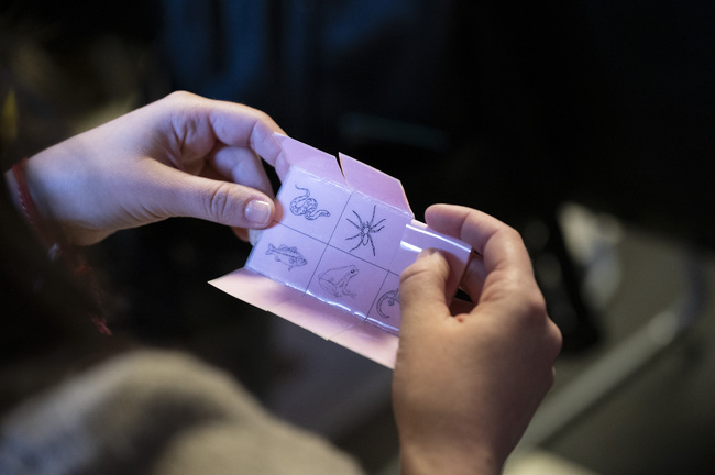 Националният природонаучен музей организира среща на музейните педагози у нас