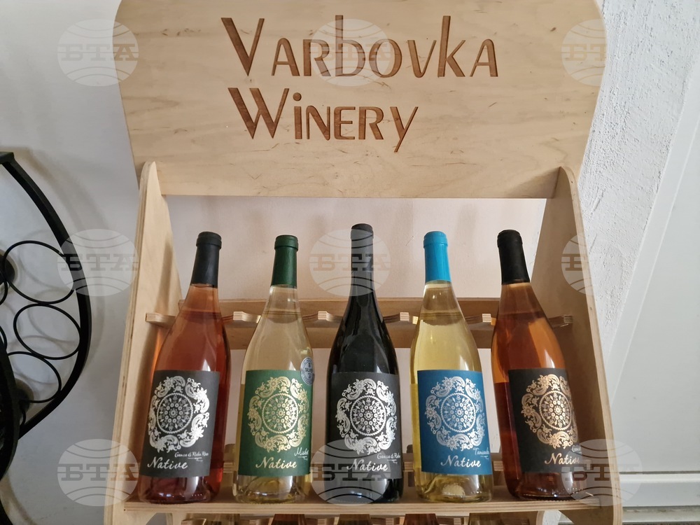 Село Върбовка - „Винарска изба Върбовка“
