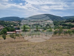 Село Овчарово - винарна „Вила Овчарово“ - производство