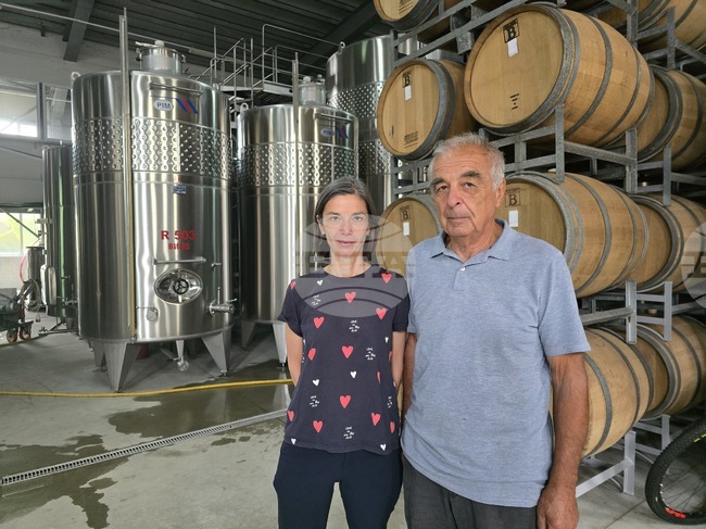 Винарска изба "Румелия" в Панагюрище тази година планира да увеличи производството на розе, очаква гости от Чехия и Бразилия