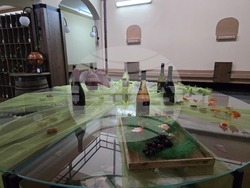 Ново село - Винарска изба „Ново село“