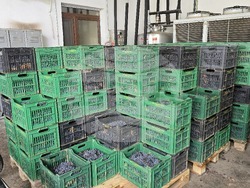 Ново село - Винарска изба „Ново село“