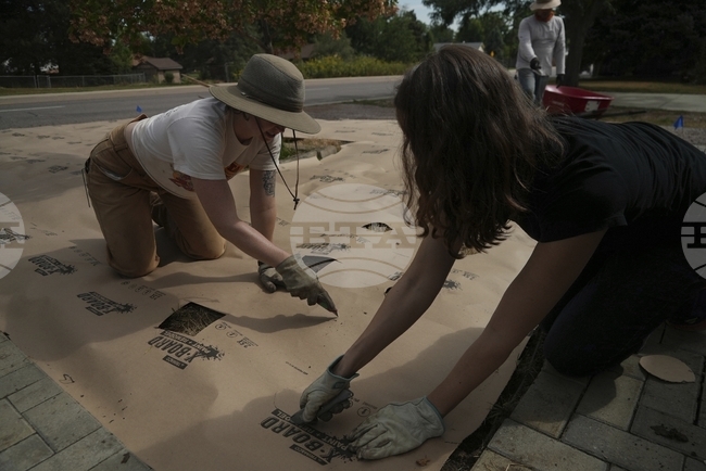 Climate Choices Lawns Water Saving
