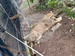 Снимка: Община Стара Загора