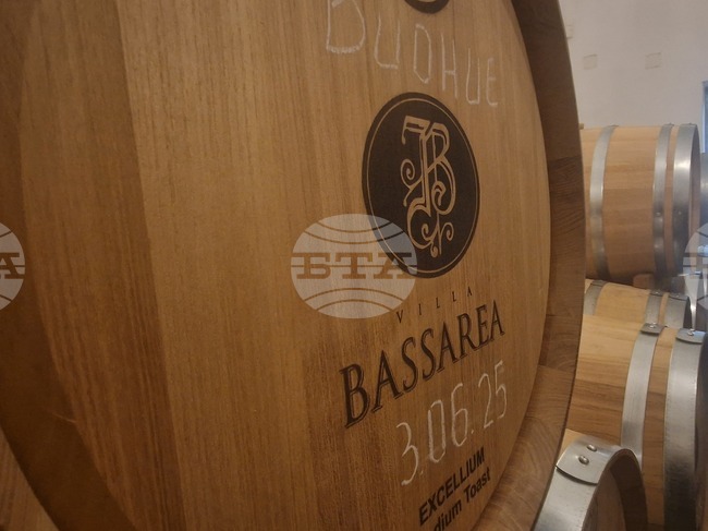 Villa Basareya: Where Wine Ages in Acacia Barrels