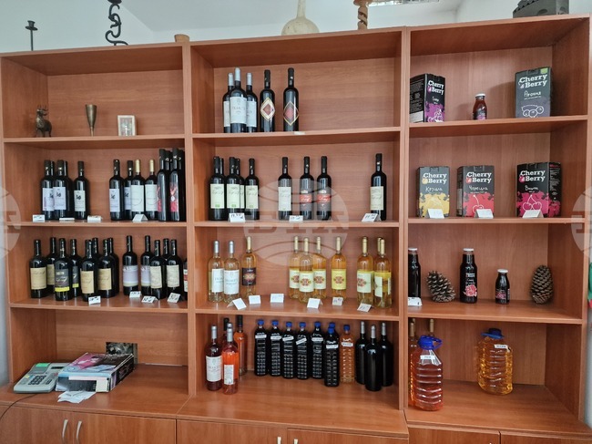 Пресконференция по повод началото на Глобалната конференция за винен туризъм ще се състои днес в Пловдив