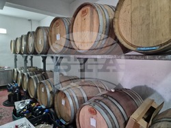 Винарска изба - „Домейн Трифонов”