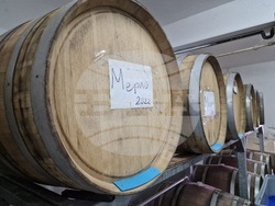 Винарска изба - „Домейн Трифонов”