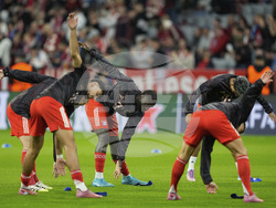 Germany Soccer Champions League