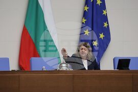 Народно събрание - заседание - Наталия Киселова