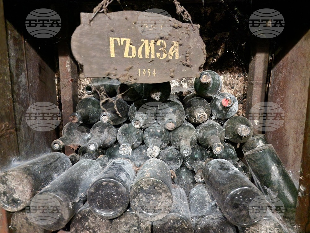 Винарната в Сухиндол разполага с оборудване за производство на бутикови вина и автоматична машина за Bag in Box пакетиране