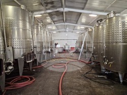 Сухиндол - Винарна „Ловико“ в Сухиндол