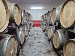 Сухиндол - Винарна „Ловико“ в Сухиндол