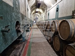 Сухиндол - Винарна „Ловико“ в Сухиндол