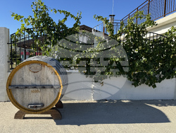 Село Черганово - Винарска изба „Черганово“