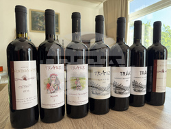 Село Черганово - Винарска изба „Черганово“