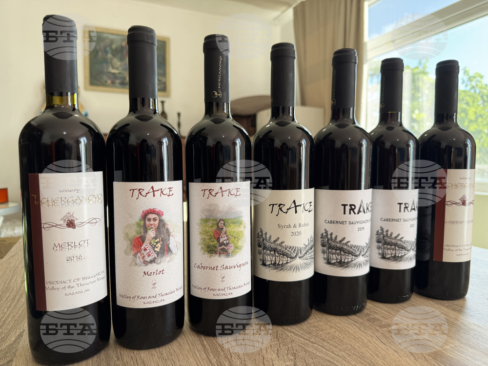 Cherganovo Winery: The Challenge and Success of Reviving the Rare Gamza Grape near Kazanlak 