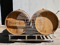 Пловдив - Винарско ателие Георгиев/Милков