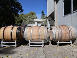 Пловдив - Винарско ателие Георгиев/Милков