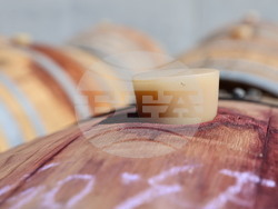 Пловдив - Винарско ателие Георгиев/Милков