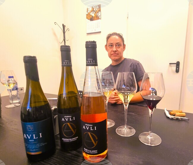 Едва 4-5 процента са пораженията на реколтата в лозята на "Шато Авли" край Сливен 