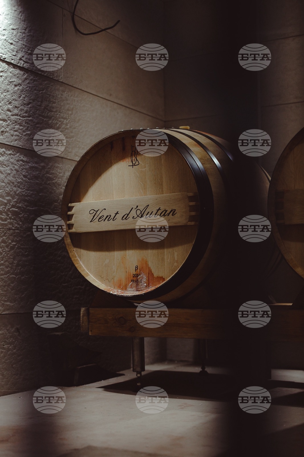 Силистра - винарска изба „Кайнарджа“