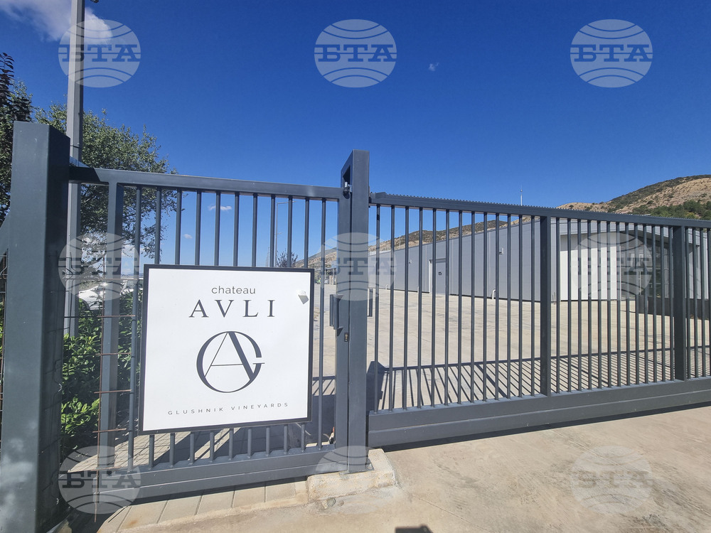  Chateau Avli: Betting on Rare French Grape and Innovation to Stand Out