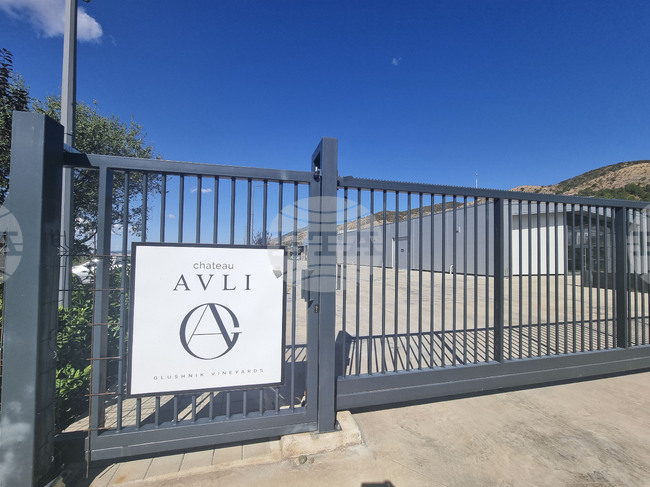  Chateau Avli: Betting on Rare French Grape and Innovation to Stand Out