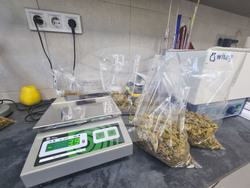 Село Глушник - шато "Авли"