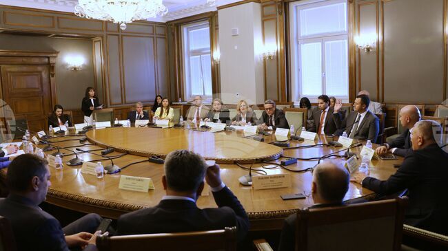 Декларация, с която се осъжда акта на насилие срещу Владимир Перев в Република Северна Македония, прие единодушно парламентарната комисия по външна политика