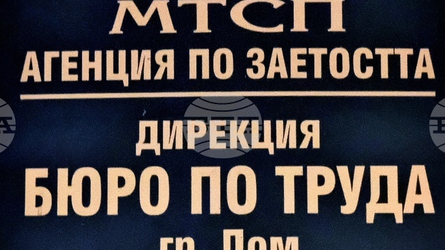 В Бюрото по труда в Лом са обявени две свободни работни места за вишисти, в Берковица – едно