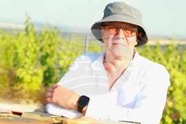 Семейна винарна край село Есен произвежда вино с минимална намеса и максимално уважение към природата