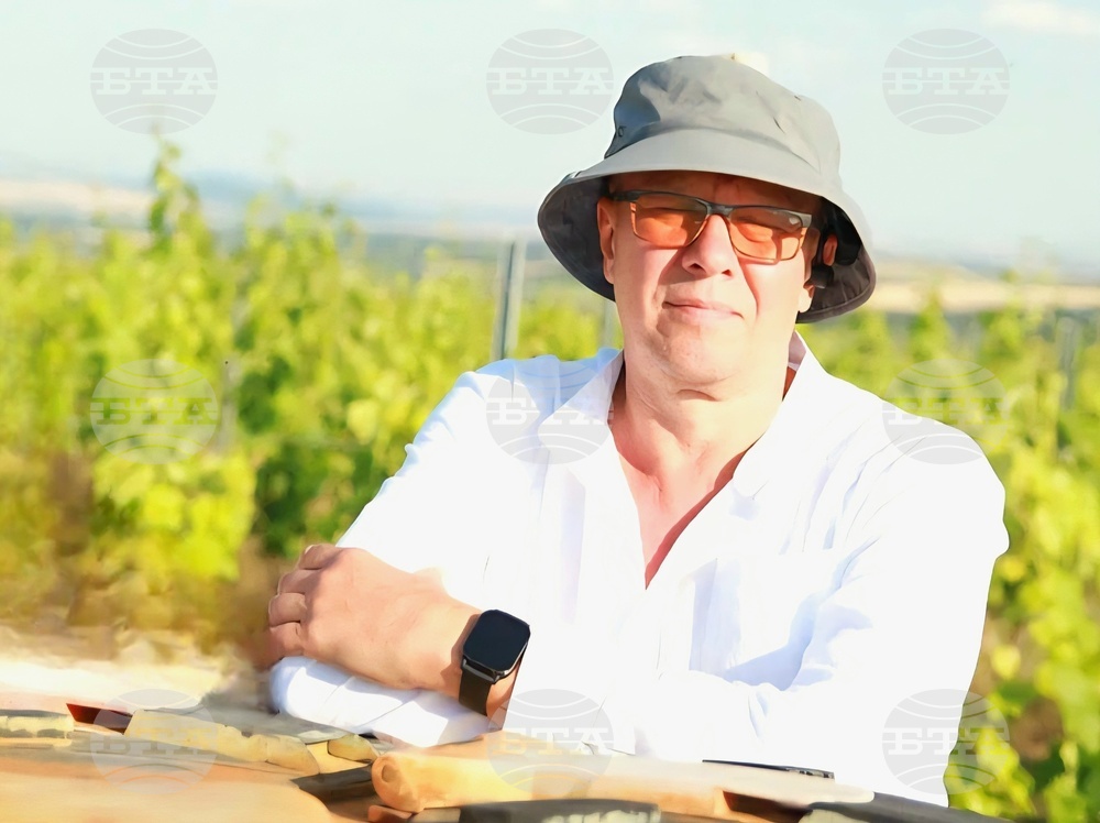 Семейна винарна край село Есен произвежда вино с минимална намеса и максимално уважение към природата