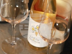 Семейна винарна край село Есен произвежда вино с минимална намеса и максимално уважение към природата