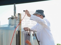 Семейна винарна край село Есен произвежда вино с минимална намеса и максимално уважение към природата