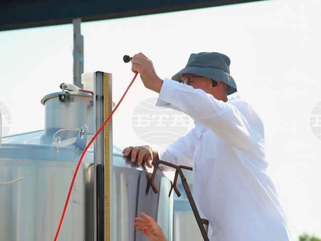 Hands & Friends: Family Roots and New Traditions in Balkan Winemaking