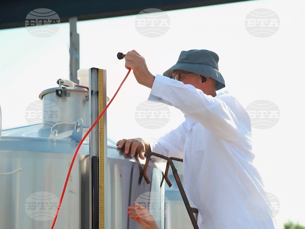 Семейна винарна край село Есен произвежда вино с минимална намеса и максимално уважение към природата