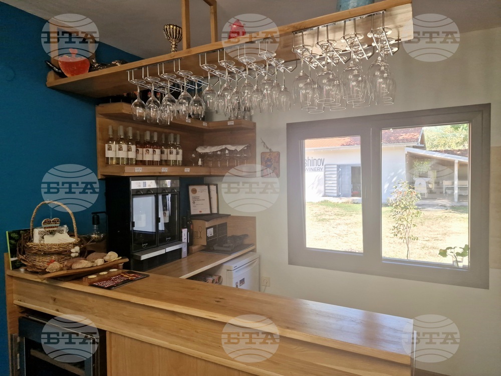 Dragoshinov Winery: Where the Owner Believes that Wine Is Part of Communication Culture 