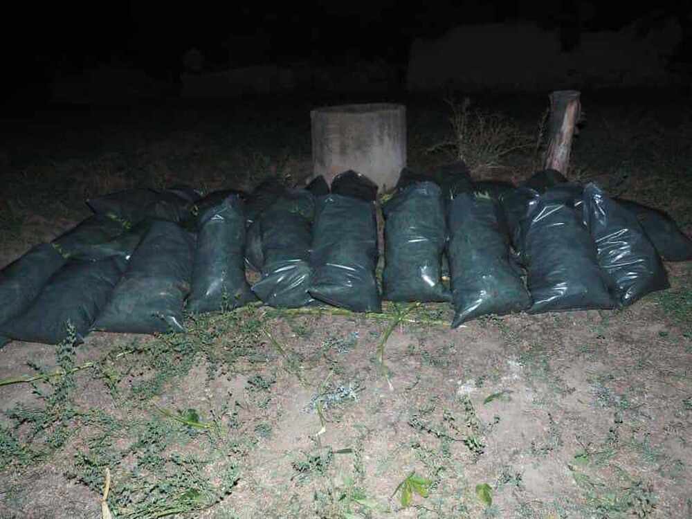 Двама души в област Пазарджик са заловени с голямо количество марихуана, съобщиха от полицията