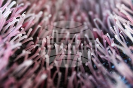 Международно биенале на стъклото 2025