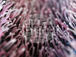 Международно биенале на стъклото 2025