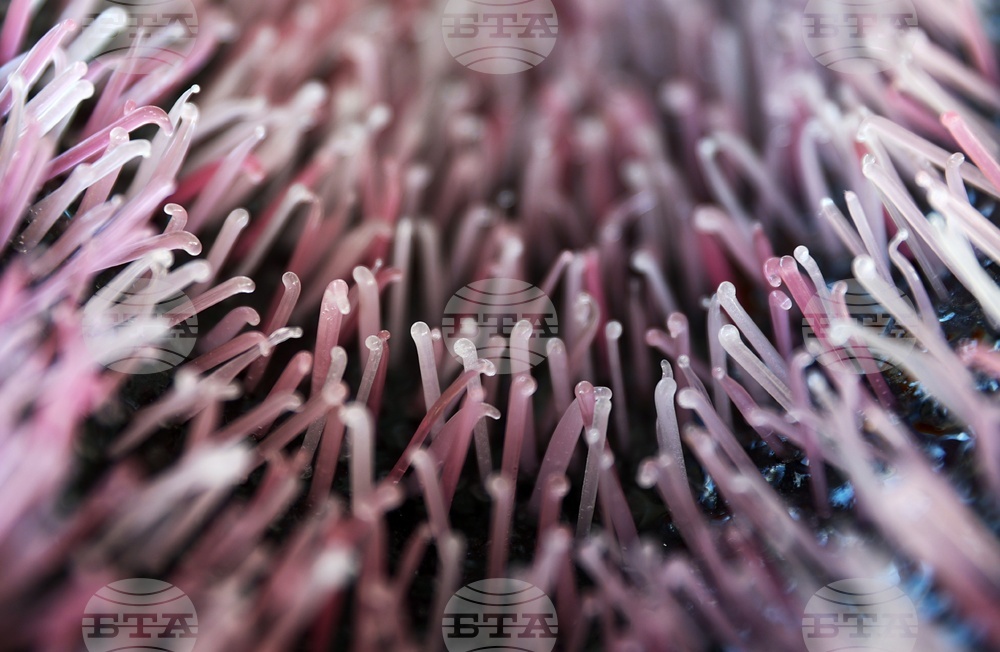 Международно биенале на стъклото 2025