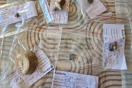 Село Арчар - Антична Рациария - императорски терми - археологически разкопки