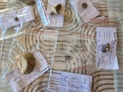 Село Арчар - Антична Рациария - императорски терми - археологически разкопки